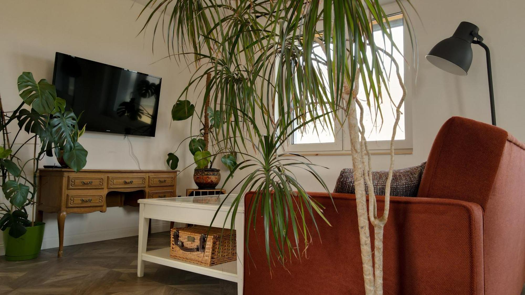 Apartamento Lawendowy Raj Pilchowice Exterior foto